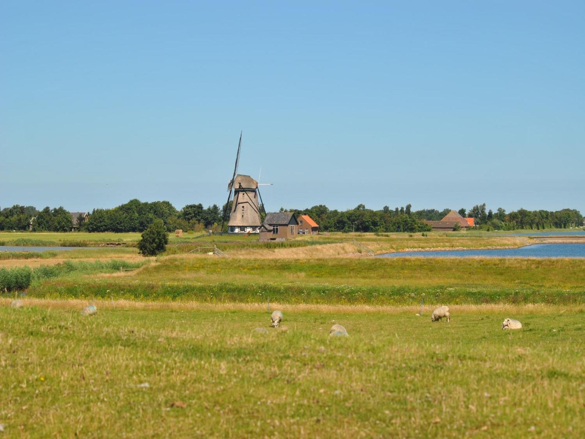 Lovely Holiday Home In Texel Near Sea Oost  ภายนอก รูปภาพ
