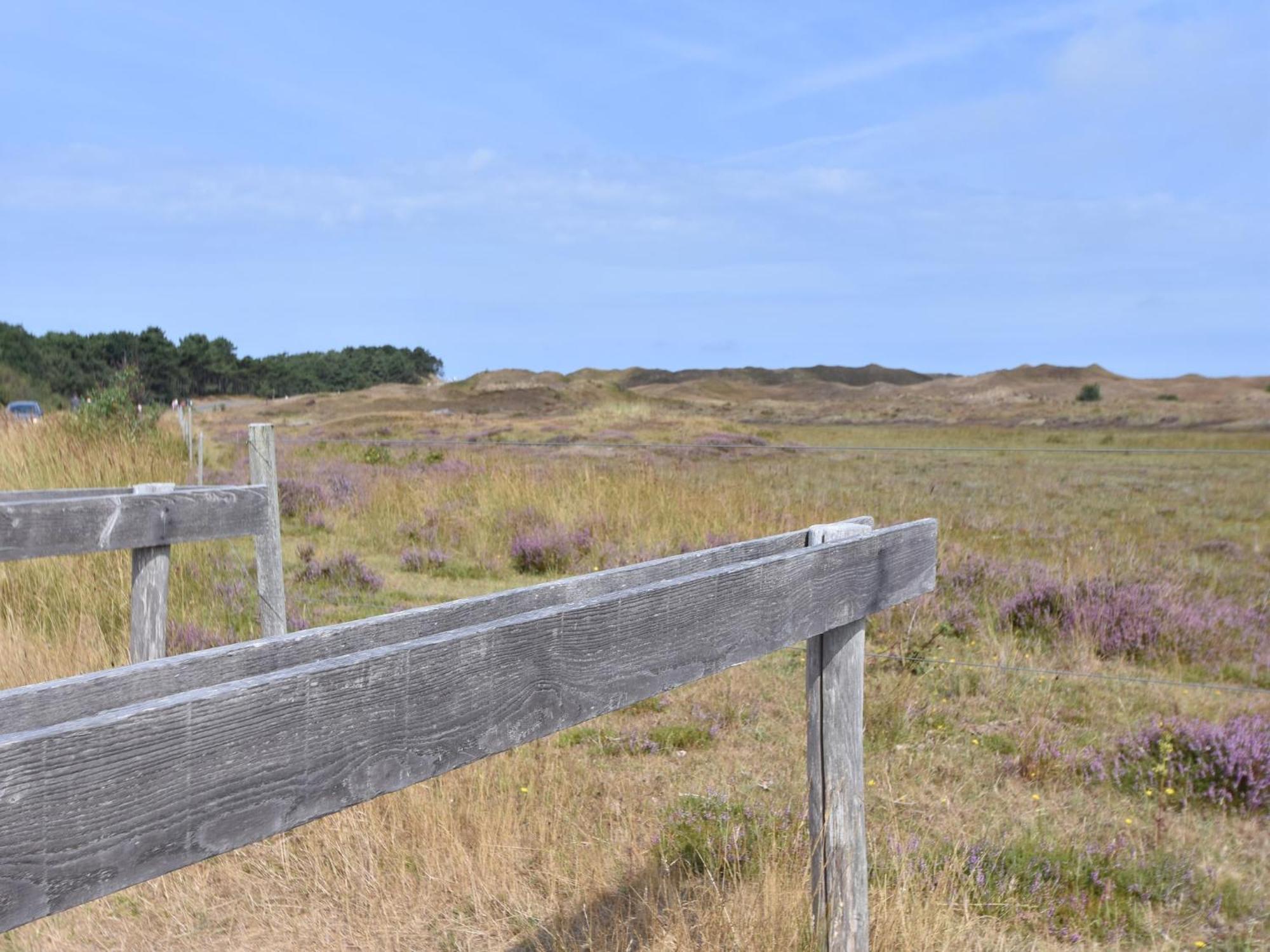 Lovely Holiday Home In Texel Near Sea Oost  ภายนอก รูปภาพ